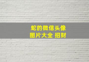 蛇的微信头像图片大全 招财